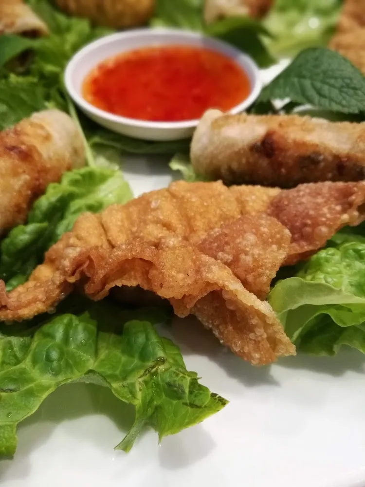 Assortiment Nems Et Raviolis Frits